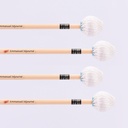 VSPESB-LP-Set4.jpg