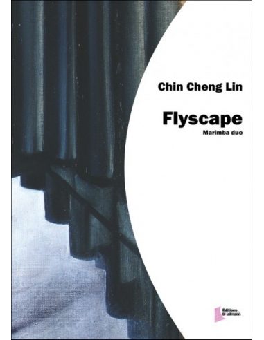 [FD0382] Flyscape – DUO | LIN C-C.