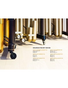 JOHANN SEBASTIAN PROJECT | Trio Sonatas BWV 525-530 - Jean Geoffroy 2