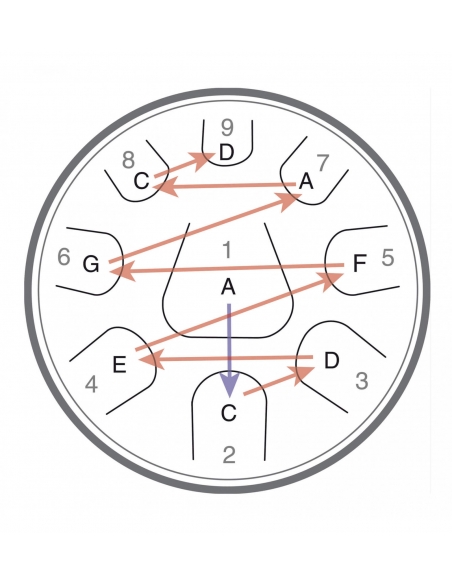 Steel tongue drum Zenko Celtic Minor METAL SOUNDS : handpan-type scale pattern.