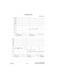 Starting Noise - Christophe MERZET 2