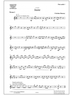 Couleurs - Christian HAMOUY 2