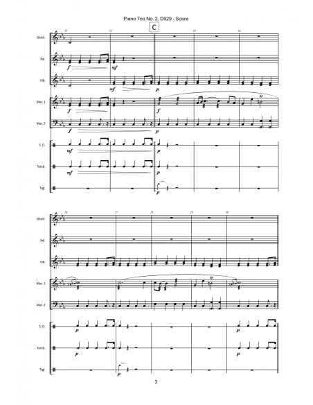 Piano Trio No. 2, D929 , de Franz Schubert - Arr. Fabrice Vernay - HITS in PERCUSSION