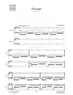 Flyscape - Chin Cheng Lin 2