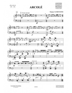 Arcolé - Thomas Vandevenne 2