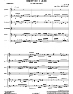 Concerto in D Minor - Jean-Sebastien Bach 2