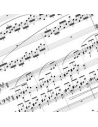 Music for ensembles (Percussion, Drums and Vocals)