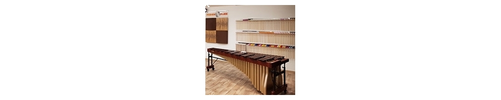 Visit of the Atelier and Percuspace